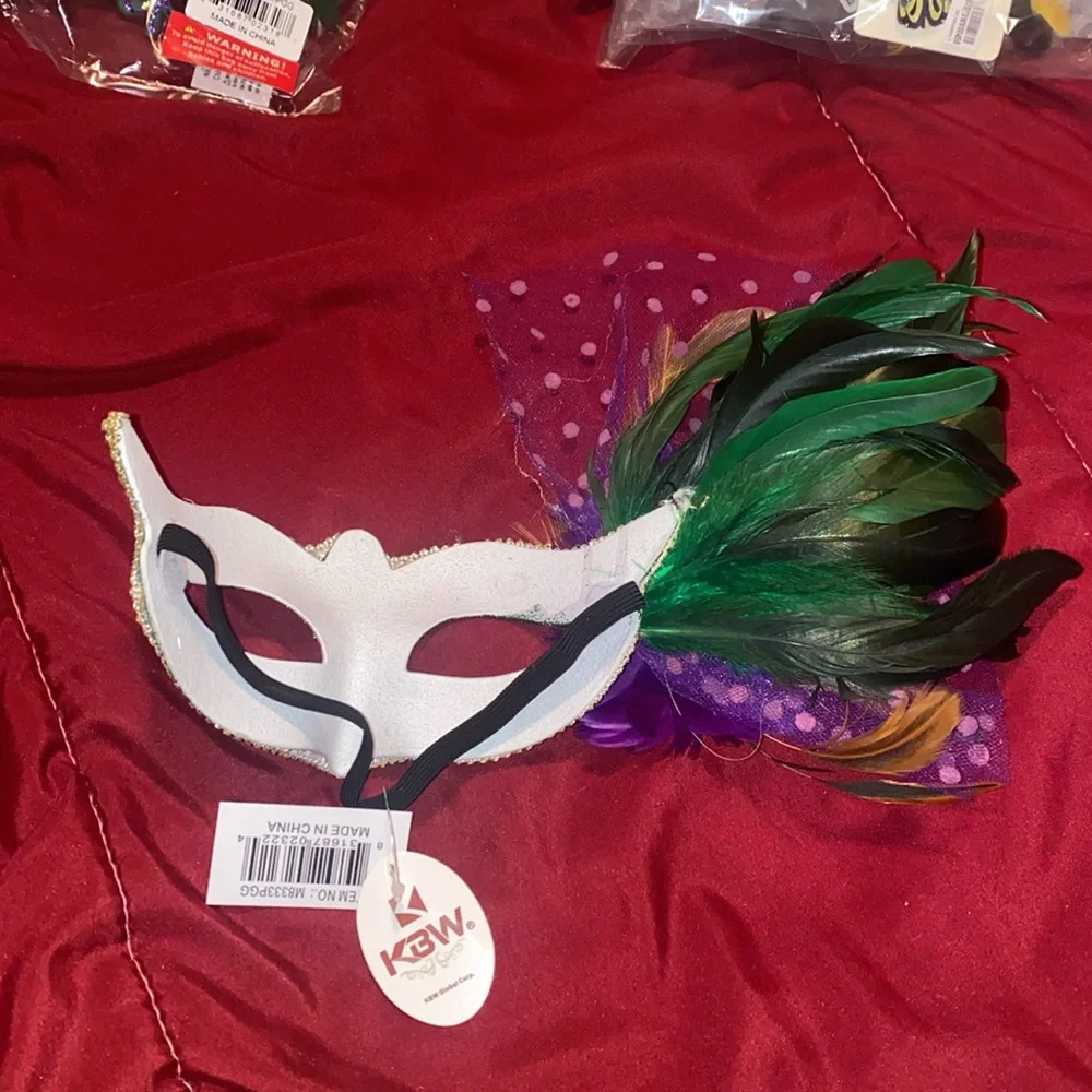 Mardi Gras feathered and lace mask!